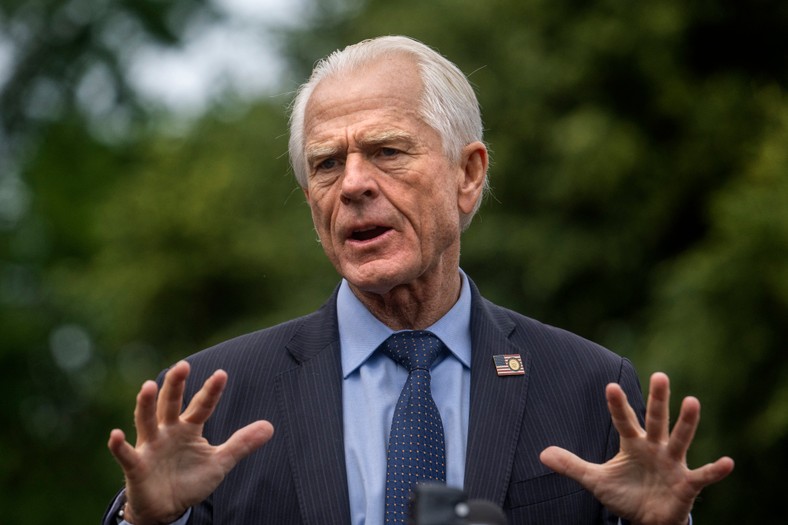 Trump advisor to economics Peter Navarro, 29 May 2025.