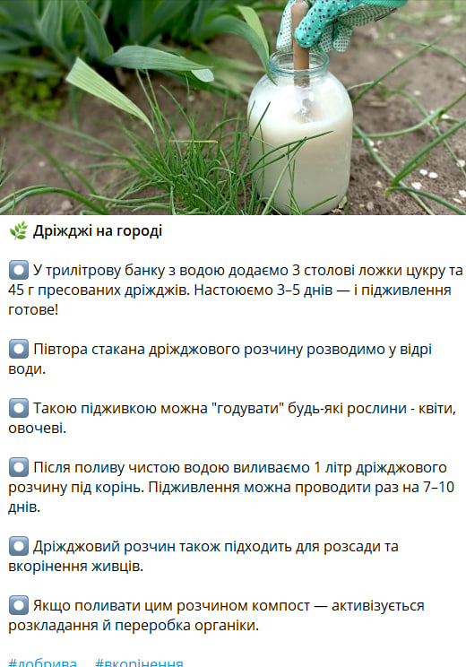 Water the garden once a week - and collect a generous crop. Recipe for universal top dressing without chemistry photo 1