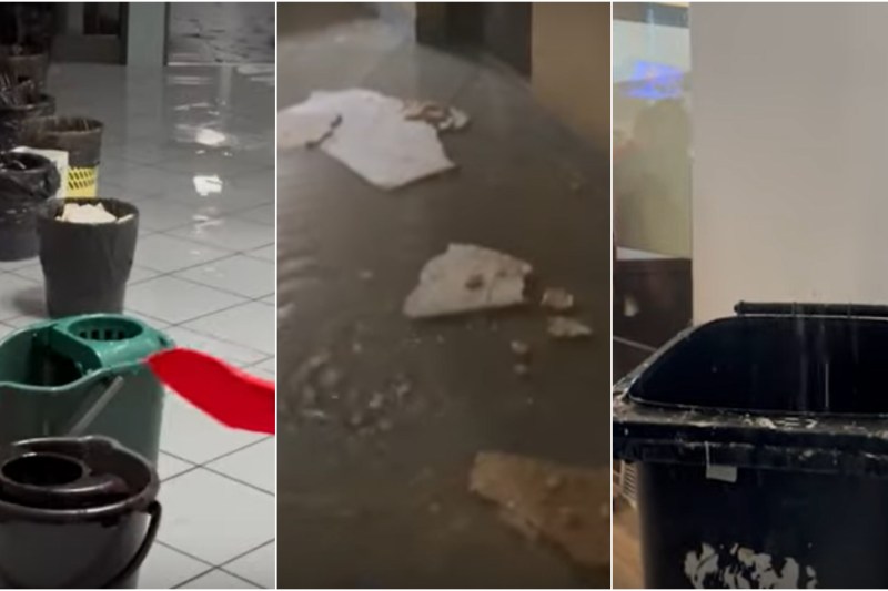 Pictures Noah's flood in a public institution in Romania