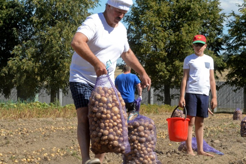 Potatoes for Russia. Putin's ally urges farmers to dig more to feed and 