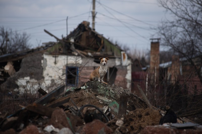 Nicușor Dan considers that Romania's participation in Ukraine's reconstruction represents an