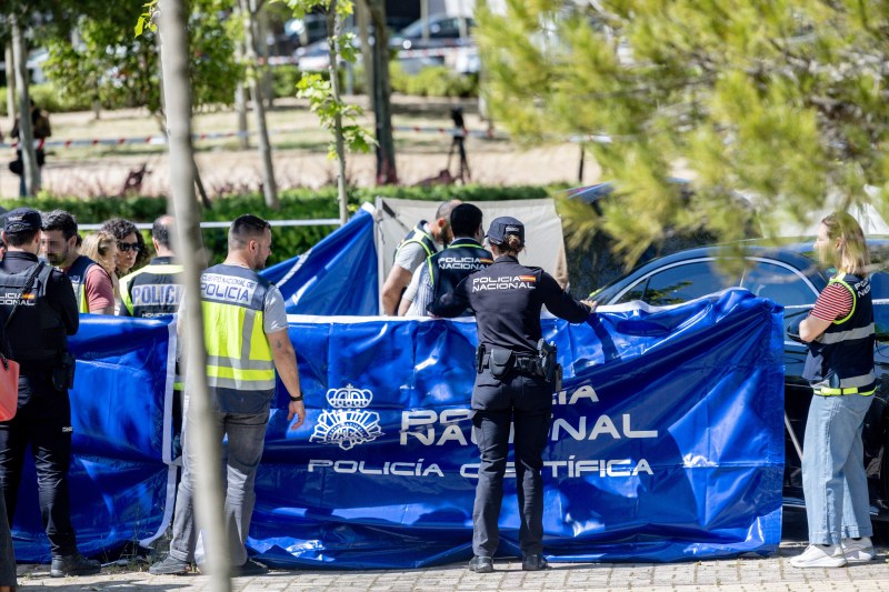 The main track that investigators go in case of killing former Ukrainian high official in Madrid