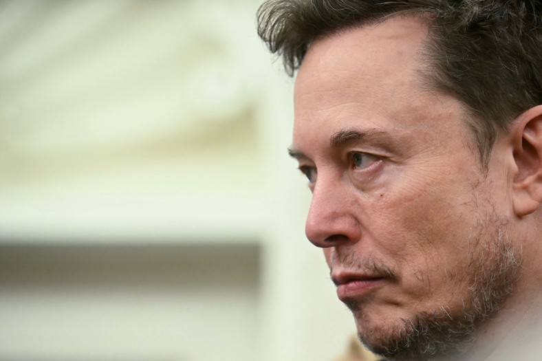 Elon Musk, who headed the government efficiency department (dog). The institution is designed to release employees in public administration in the USA (illustrative photos)