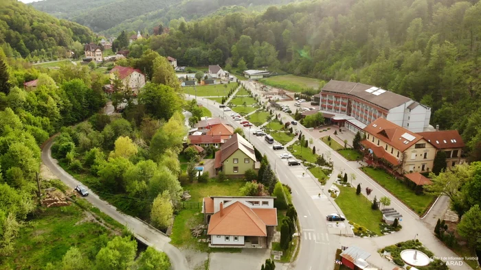 Moneasa Station Photo Archive