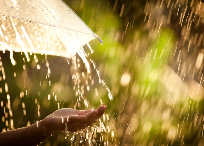 Photo: Shutterstock