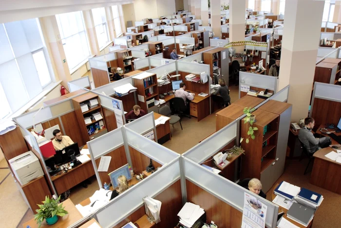 Office where there are more IT employees
