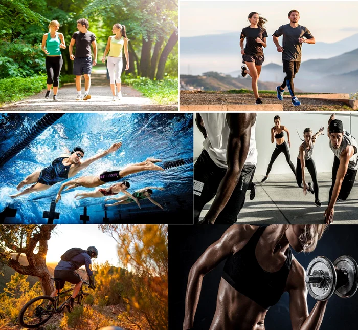 Collage of images with efficient exercises for weight loss DMS