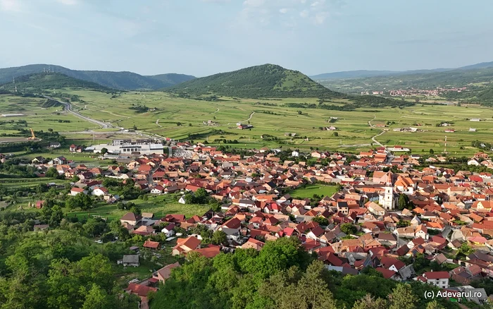 Boița. Photo: Daniel Guță. TRUTH