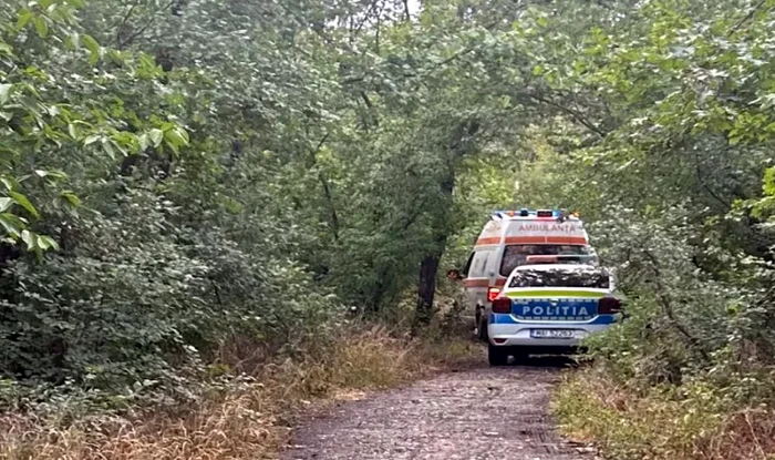 The man was found hanged in the woods of photo The opinion of Timișoara