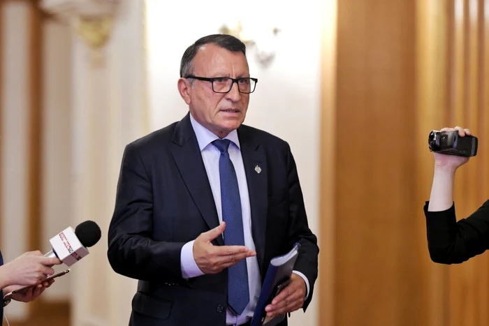 The slides of the PSD play games. Photo: Mediafax