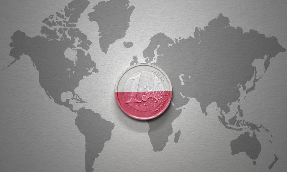 Poland in the euro area? Domański spoke on the work