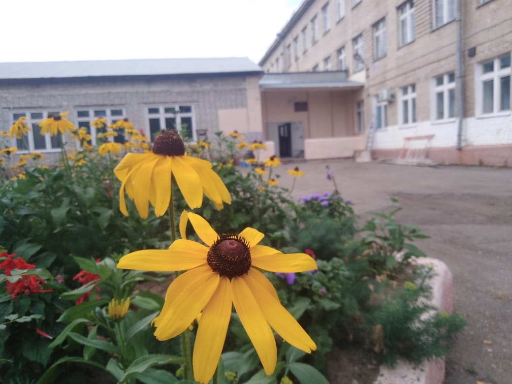 Orphanage No. 2 of Birobidzhan. 2021