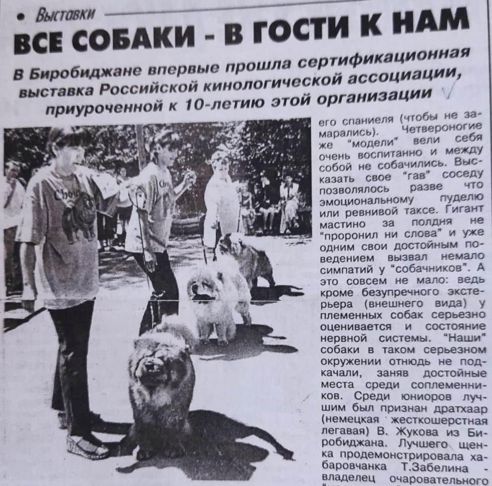 Cutting out of the newspaper 