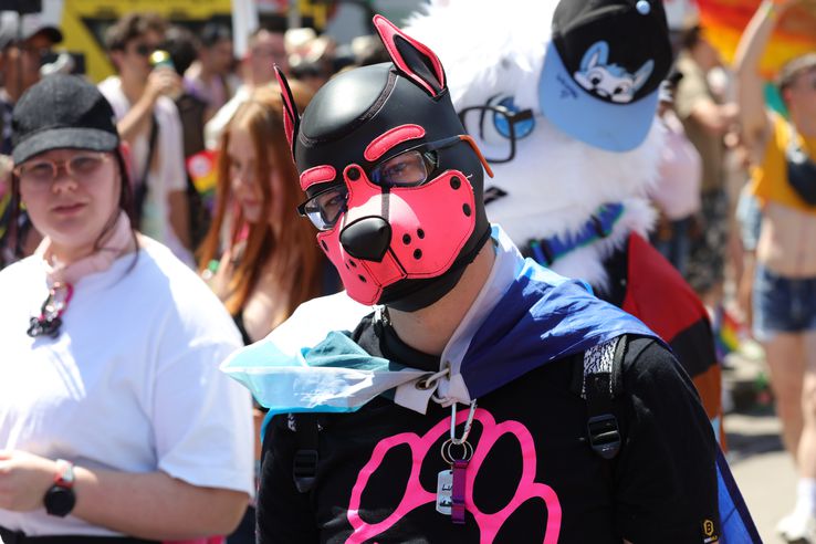 Pride Parade from Vienna 2025 Photo: Ionuţ Iordache (GSP)