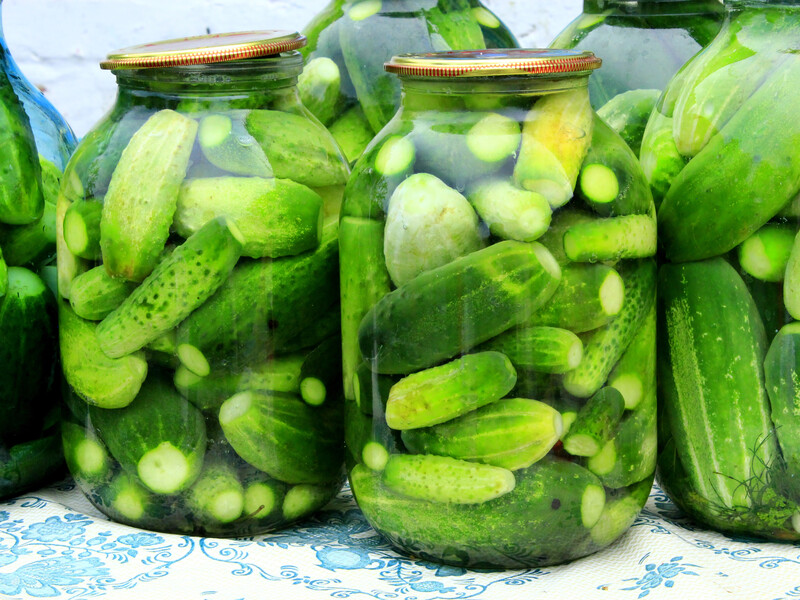 The recipe for small -salted cucumbers that will never fail. The exact proportions of water and salt are named