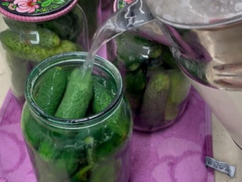 Cook delicious without vinegar - a marinade recipe, thanks to which cucumbers will be sweet and crispy