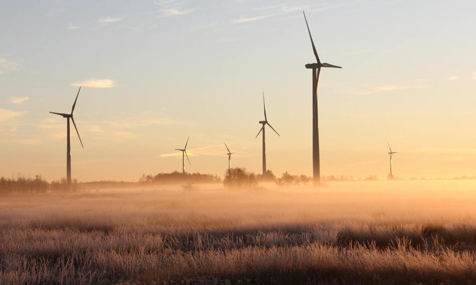 Too expensive capital is a leg to develop the Polish wind energy
