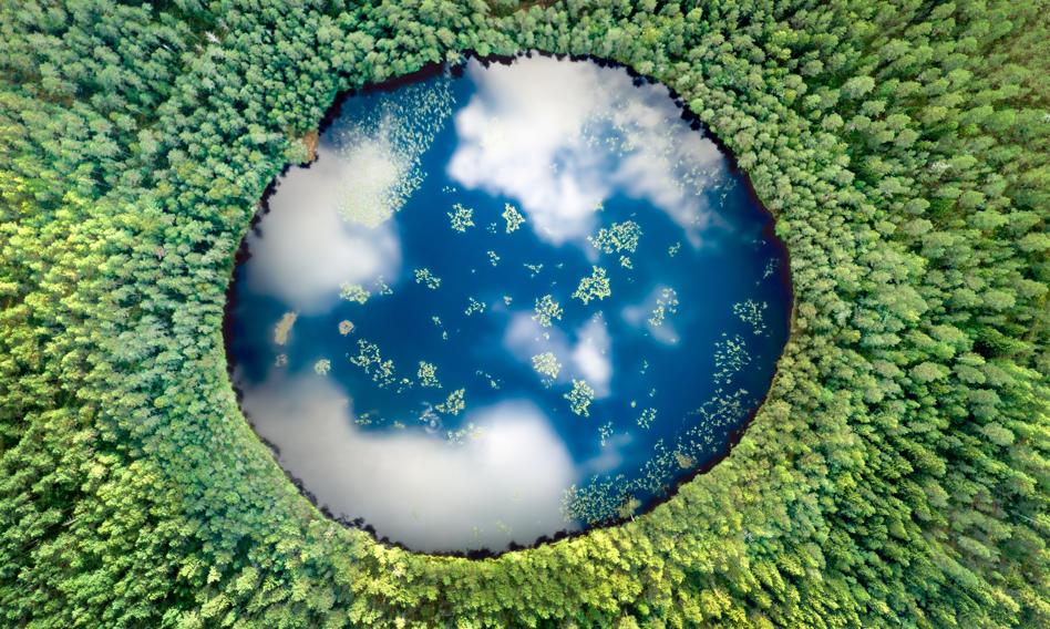 Is ecology no longer a priority? Shocking words of the ministry at the G7 summit