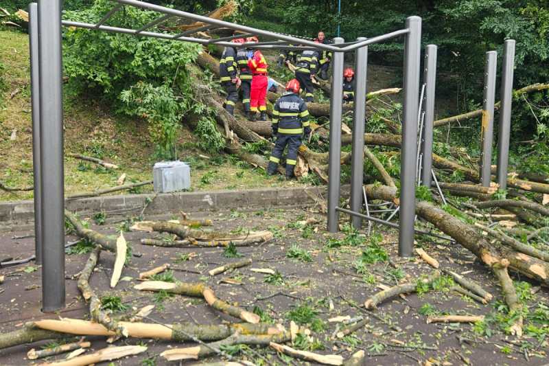 Forest collapsed over two people in Brasov. A young man died