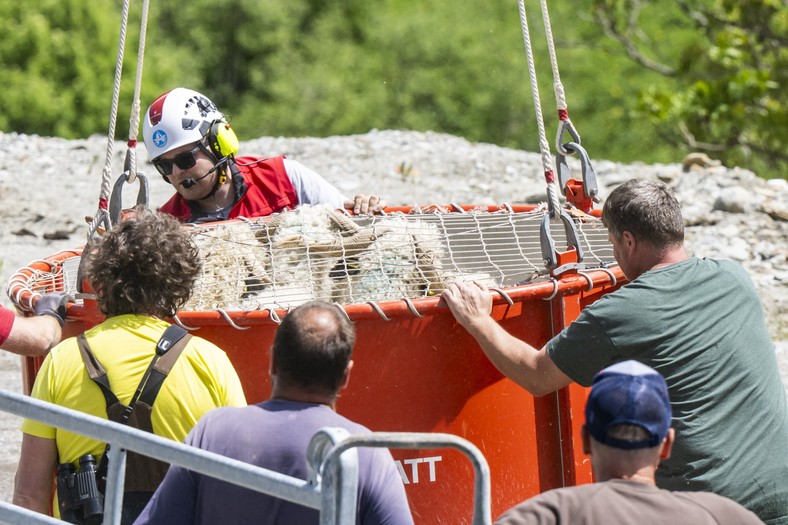 Evacuation of sheep with helicopter, Blatten, Switzerland, 29 May 2025.