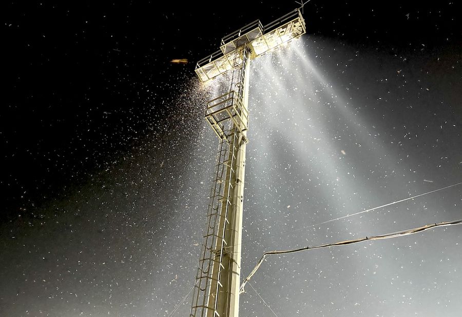 Insect invasion at the Romania U19 - Spain U19 match, from Voluntari Sold -out, but a big problem at the Netherlands - Romania in the Euro U19 semifinals: