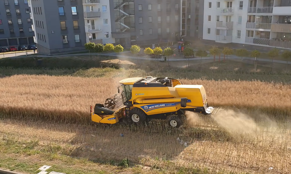 The famous field between blocks in Lublin for sale. The farmer has decided, the price is knocking