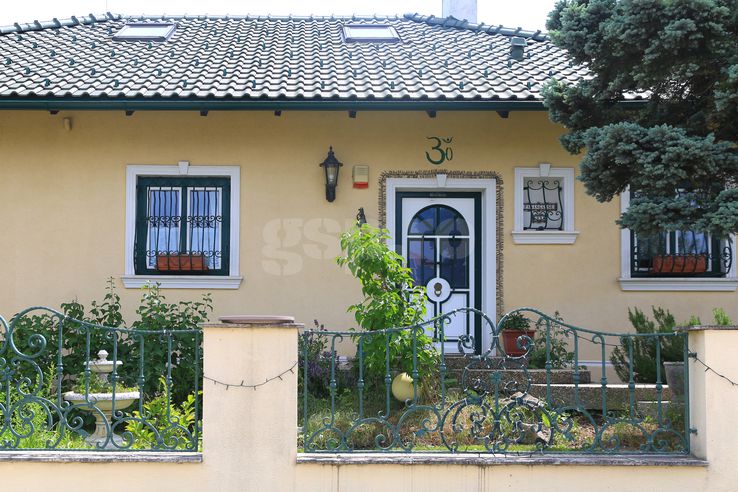 The house in Günselsdorf where Călin Georgescu lived: Ionuţ Iordache (GSP)