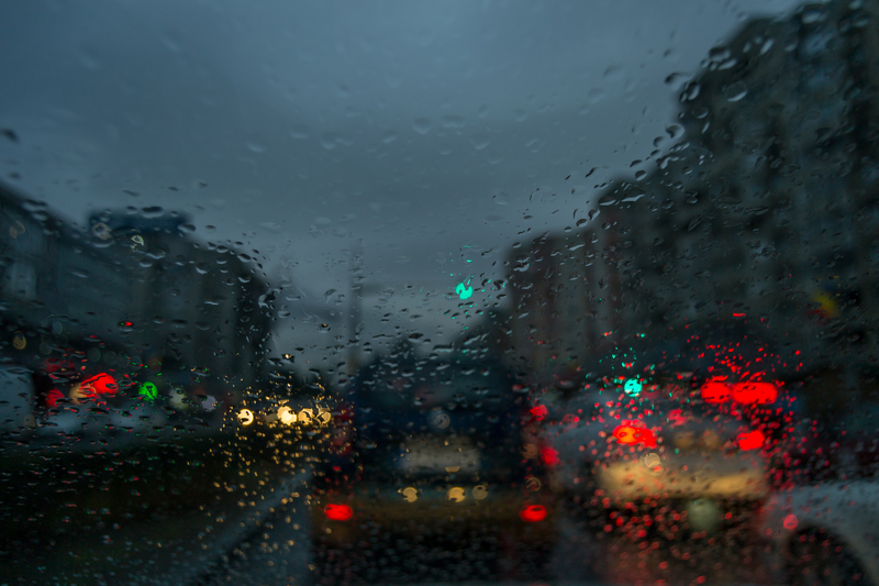 Fallen trees, damaged cars and other damage. The consequences of the Vijelia in the Capital