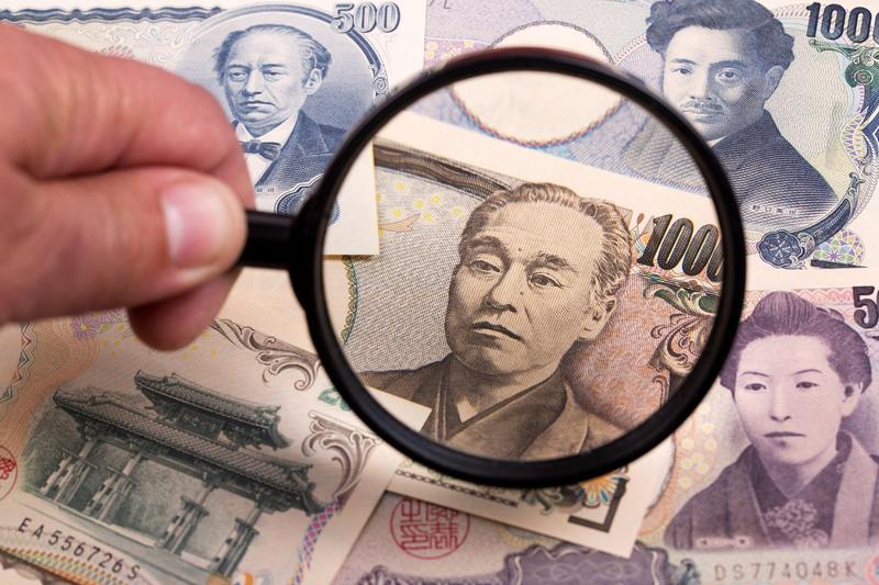 Japanese Yeni, photo: Janusz Piekowski / Alamy / Profimedia Images