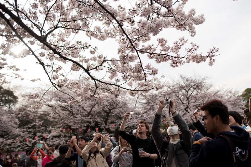 Japan is preparing a major change for foreign visitors
