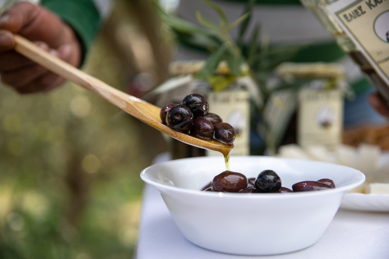 The crisis of olive oil, more and more serious. Greece cultivators are also facing growing thefts