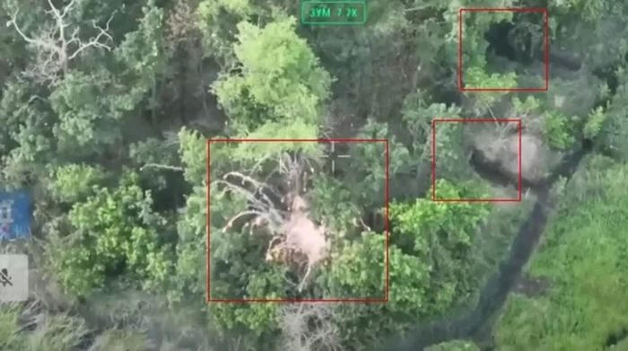 Russian trenches in a forested area of kursk photo capture