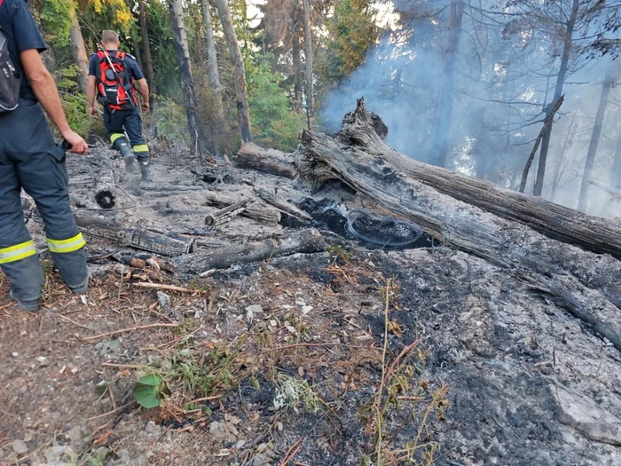 A vegetation fire broke out in a forest fund in the Țibleş Mountains Photo: ISU Maramureș