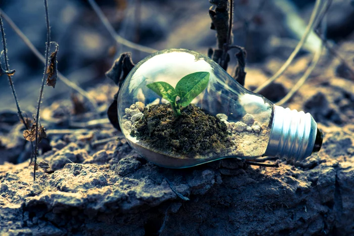 The planet is suffocated due to pollution. Photo: Pexels