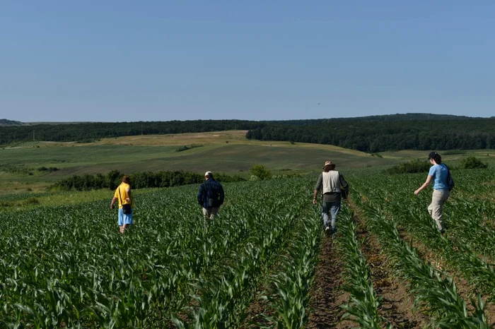 Land research with American specialists Photo Alexandru Berzovan