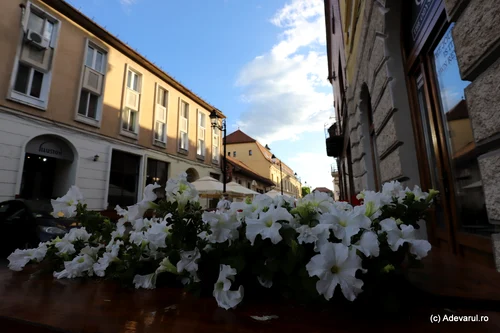Baia Mare Photo Daniel Guță Adevărul (10) JPG