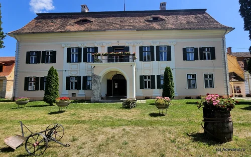 Brukenthal Palace, the city of Avrig Photo Daniel Guță Adevărul (96) JPG