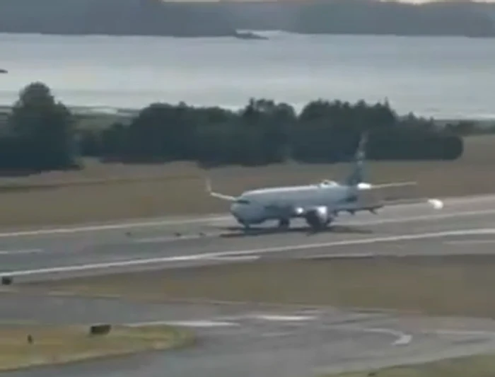 The plane hit some photo deer: video capture
