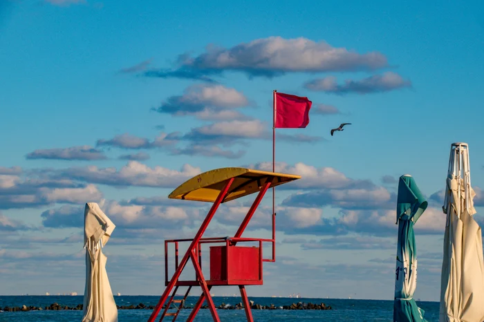 Photo: Shutterstock