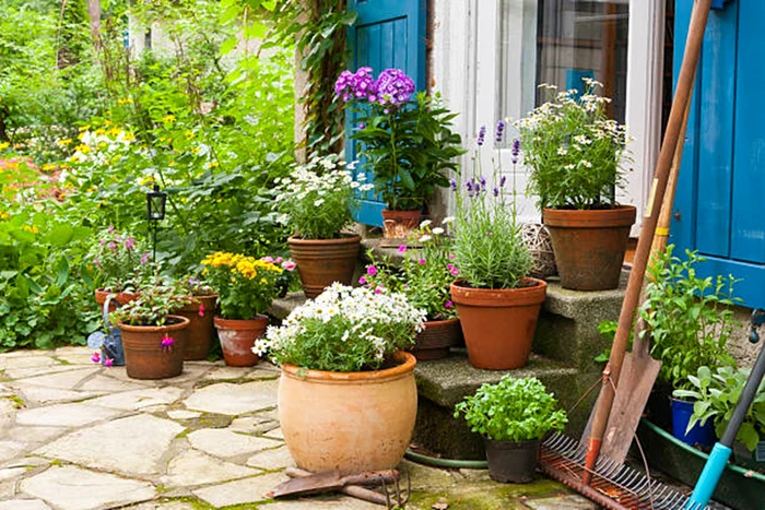 You can turn the garden into a true Istoco photo paradise
