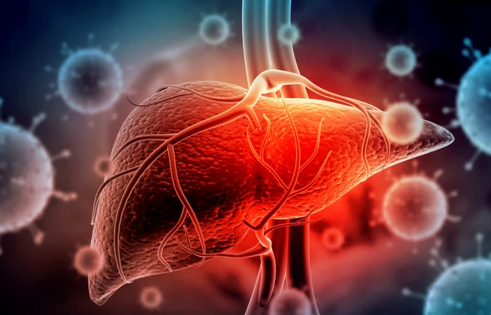 Silent infections can progressively destroy the liver. Photo: Shutterstock