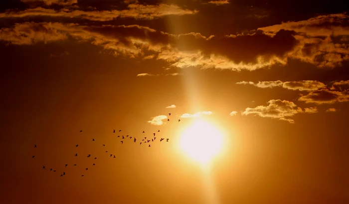 Researchers are trying to reduce sunlight to combat global warming/photo: Archive