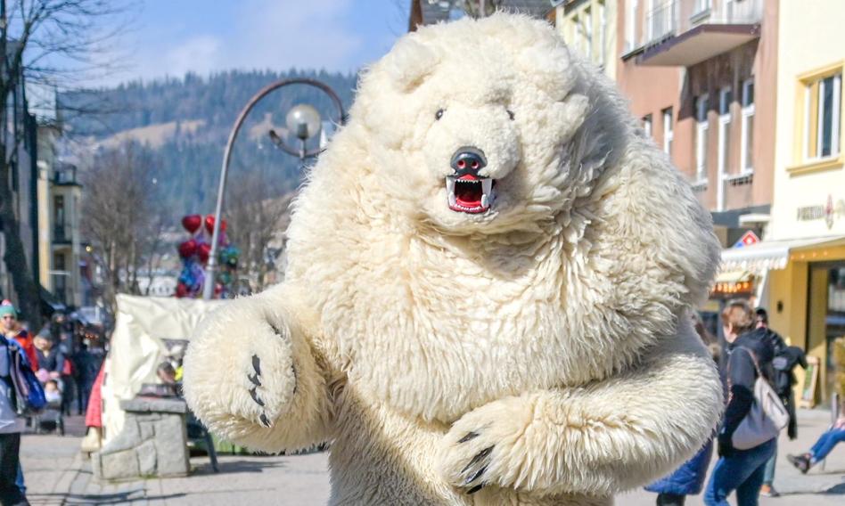 Zakopane will wait for his white teddy bear. However, the mascot will not be "Made in Podhale"
