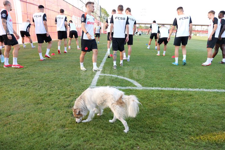 FCSB, training before the match with Shkendija // Photo: Andrei suppl