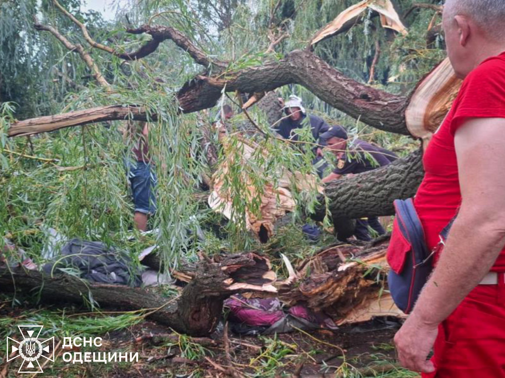 Photo: Golovna Managinnya DSNS Ukrainian in the Odeskiy Covere/Facebook