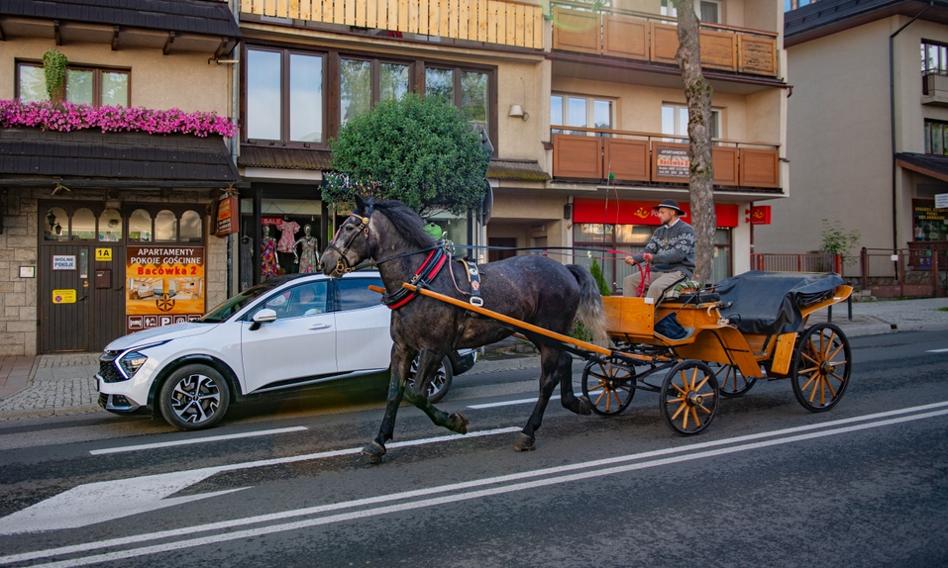 "Create Robokonia or Robomisia". An unusual petition with the mayor of Zakopane