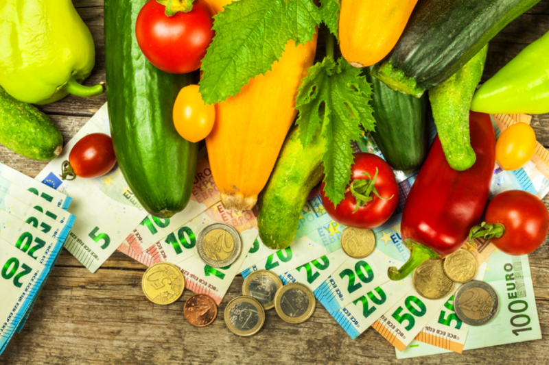 EU funds 2025: Romanian farmers will be able to access up to EUR 2 million on the project, for investments in vegetable production. Official Guide Dr. 16
