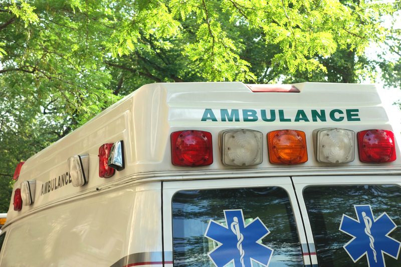 A child in the custody of an American state died after looking for hours in a hot car