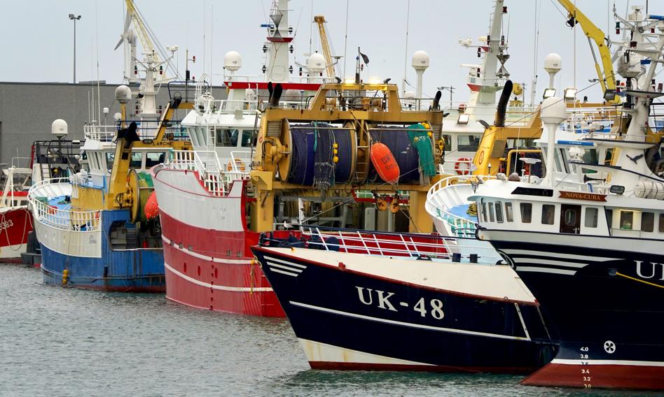 The prohibition of catching cod is prolonged. The government is preparing PLN 50 million for shipowners