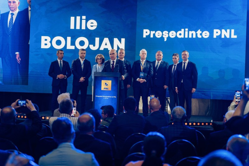 The Liberals appointed the Secretary General of the Party. What duties did the PNL first vice-presidents receive